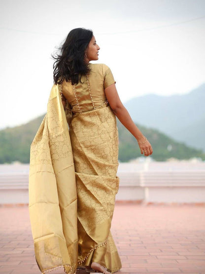 beautiful banarasi handloom golden tissue silk saree